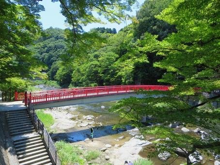 🍁 고란케이 계곡(코란케이) 이미지 7